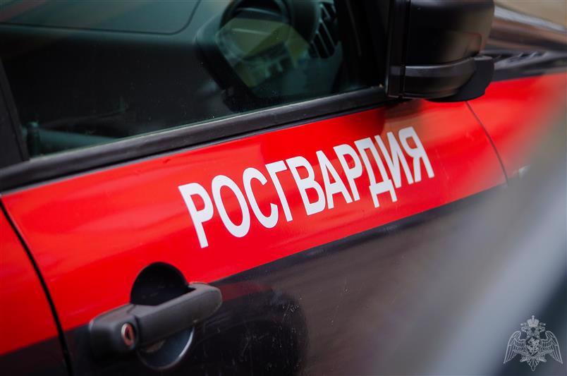 ФАКТ «ПЬЯНОГО» ВОЖДЕНИЯ ПРЕСЕЧЕН РОСГВАРДЕЙЦАМИ В КАНДАЛАКШЕ