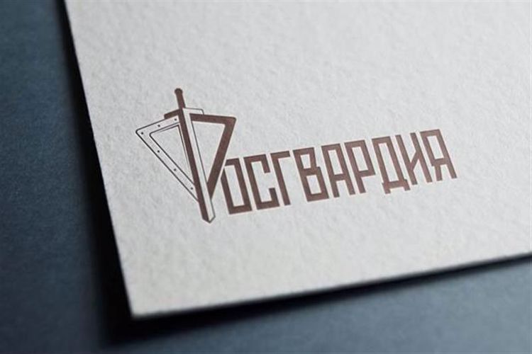 В Кандалакше росгвардейцы задержали мужчину, ударившего ножом соседа по парковке