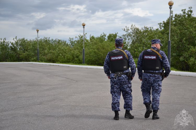 В Мурманске росгвардейцы задержали уроженца Курганской области за попытку хищения