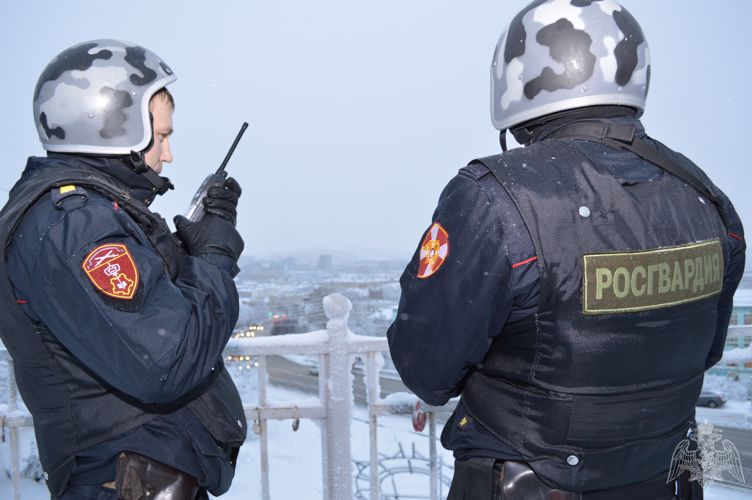 В Оленегорске сотрудники Росгвардии задержали мужчину, разыскиваемого за неуплату алиментов