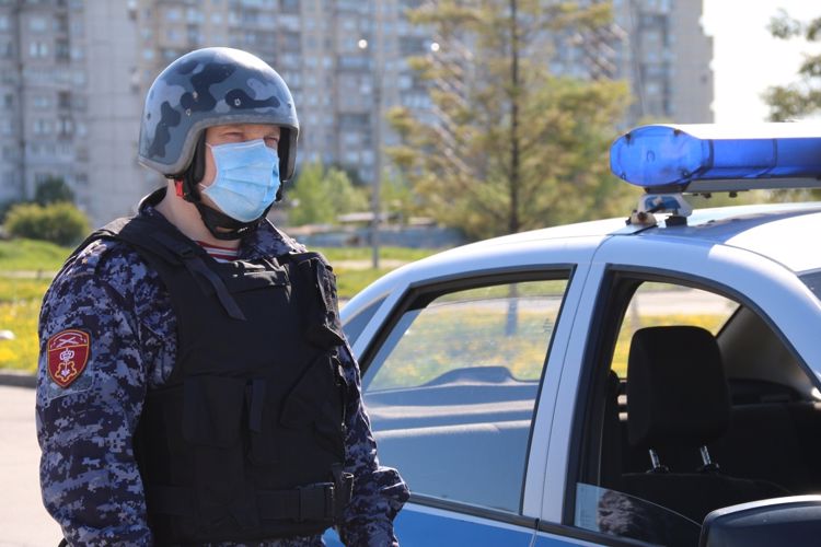 В Мурманске росгвардейцы задержали мужчину за попытку хищения на охраняемом объекте