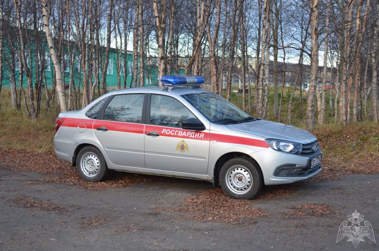 В Мурманске росгвардейцы задержали двух мужчин за мелкое хулиганство