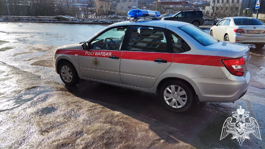 В Мончегорске сотрудники Росгвардии задержали пьяного водителя 