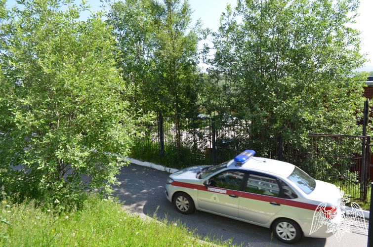 В Мурманске экипаж Росгвардии задержал уроженца Челябинской области за хищение алкоголя из магазина