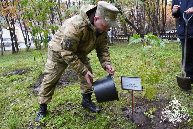 Сотрудники и военнослужащие Управлении Росгвардии по Мурманской области приняли участие в акции «Лес Победы»