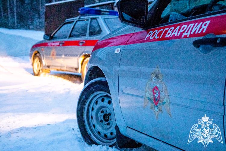 Сотрудники Росгвардии задержали мужчину, решившего не оплачивать счет