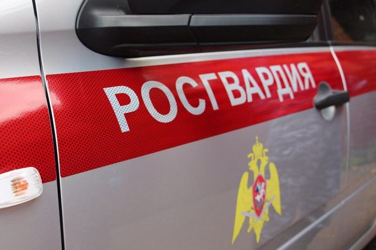В Коле сотрудники вневедомственной охраны Росгвардии задержали пьяного водителя, лишенного права управления