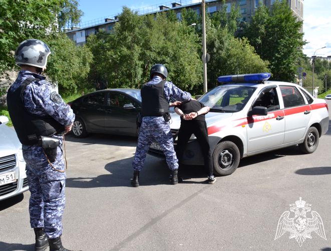 Росгвардейцы задержали вооруженного жителя Мурманска