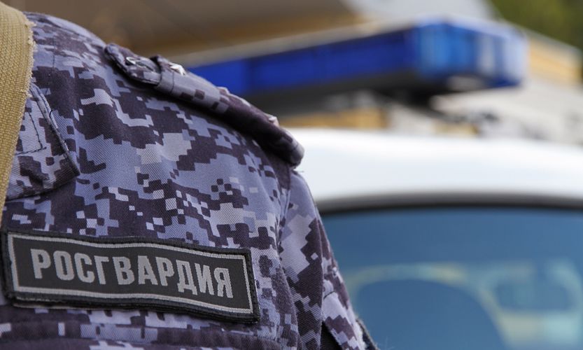 В Мурманске сотрудники Росгвардии задержали мужчину, совершившего несколько правонарушений в гипермаркете 
