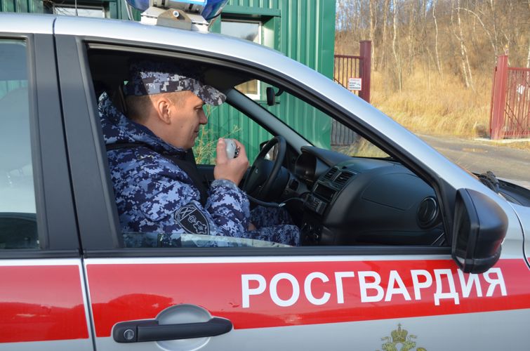 В Мурманске сотрудники Росгвардии задержали молодого человека, повредившего имущество бара