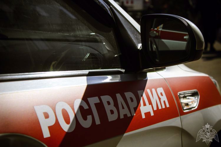 В Мурманске росгвардейцы задержали мужчину, управлявшего автомобилем в состоянии опьянения