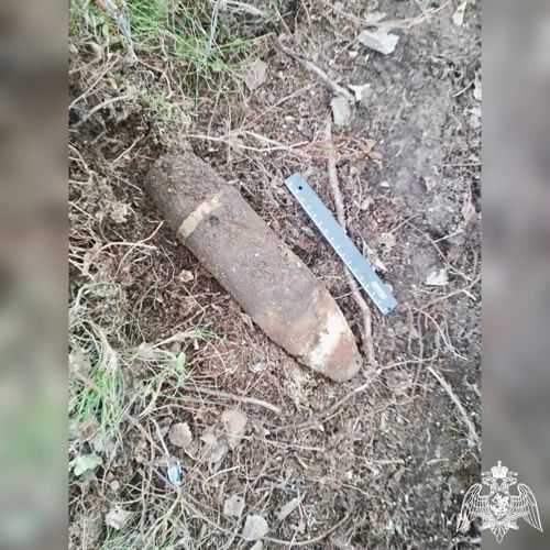 В Мурманской области сотрудники Росгвардии идентифицировали снаряд времен ВОВ