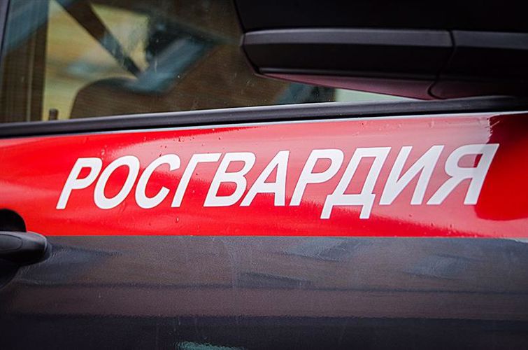 В мурманском диско-ресторане росгвардейцы задержали молодого человека за дебош