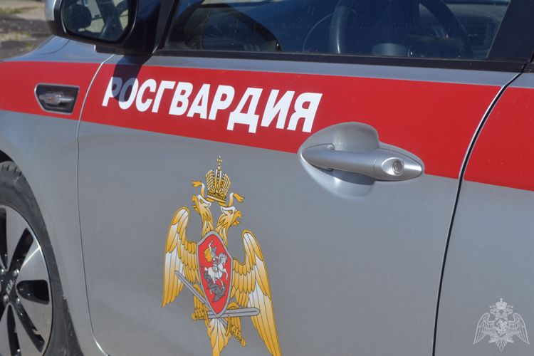 Результаты работы подразделений вневедомственной охраны и лицензионно-разрешительной работы Росгвардии за прошедшую неделю