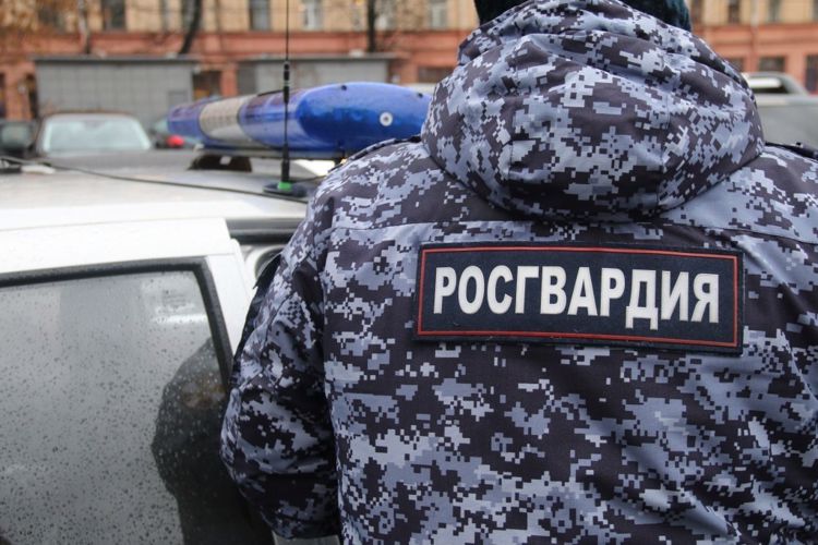 Росгвардейцы задержали мужчину, повредившего имущество одного из мурманских отелей