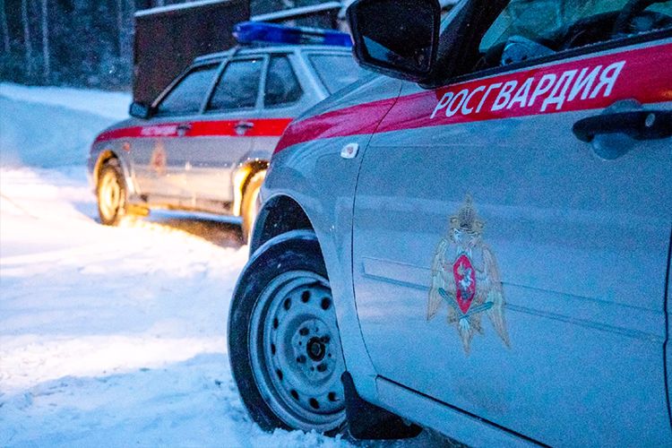 Росгвардейцы задержали мужчину, совершившего хищение алкоголя