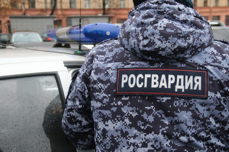 В мурманском баре сотрудники Росгвардии задержали дебошира 