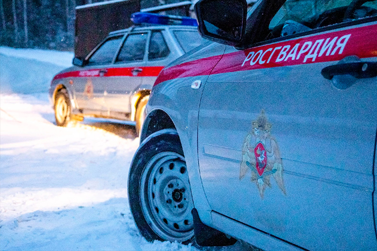 Росгвардейцы задержали девушку за нарушение общественного порядка в караоке-баре