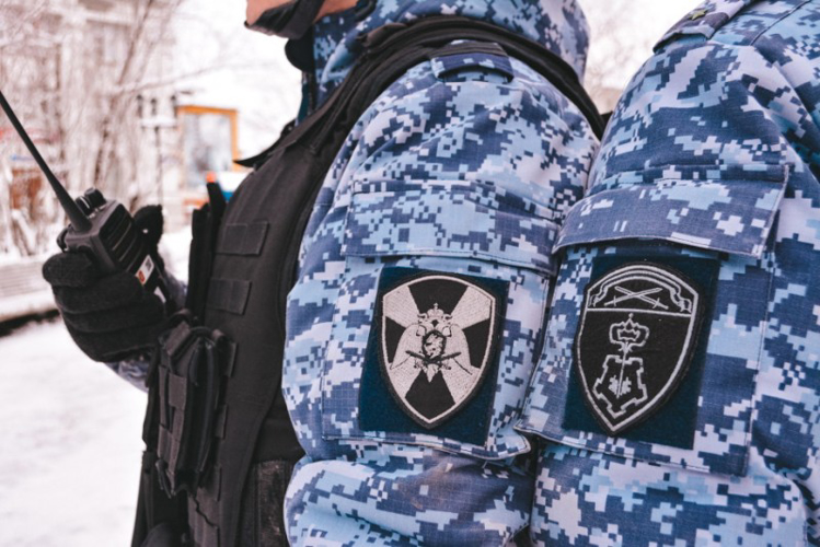 В Кандалакше экипаж Росгвардии задержал мужчину за мелкое хулиганство