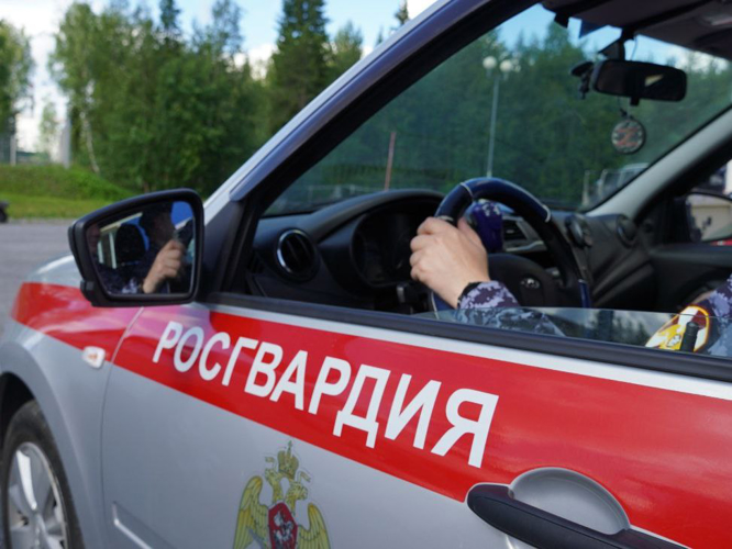 Мурманские росгвардейцы задержали в гипермаркете мужчину за кражу на крупную сумму