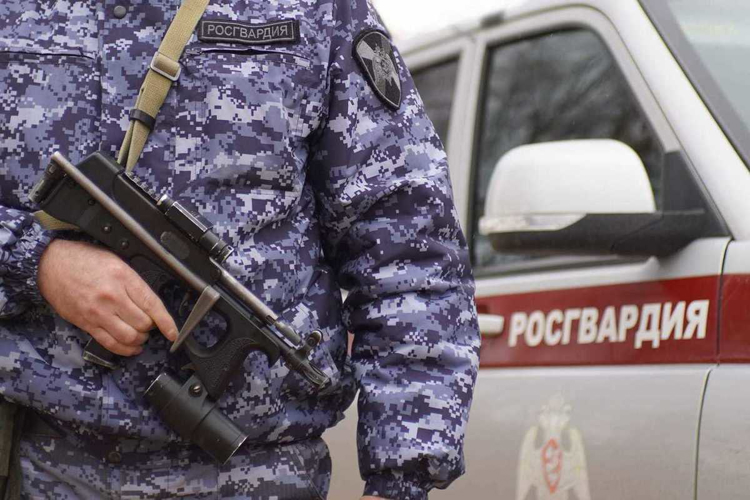 В Мурманске росгвардейцы задержали женщину за попытку покинуть гипермаркет с неоплаченным товаром