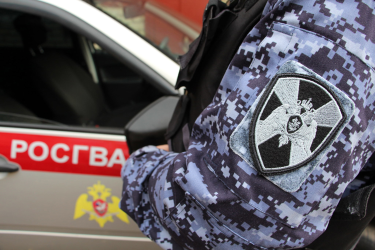 Пытавшийся проникнуть на ТЭЦ в Апатитах задержан росгвардейцами
