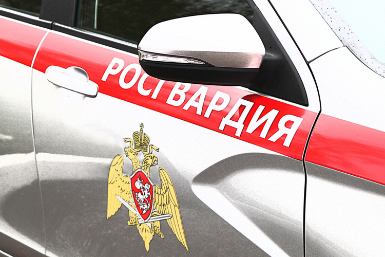 В столице Заполярья росгвардейцы задержали женщину, предъявившую подложные документы, в отделе по вопросам миграции 