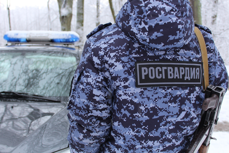В Мурманске сотрудники Росгвардии задержали мужчину, отказавшегося оплачивать счет в ресторане