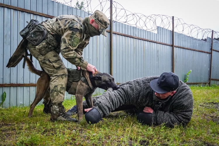 В Мурманской области сотрудники и военнослужащие Росгвардии приступили к летнему периоду подготовки