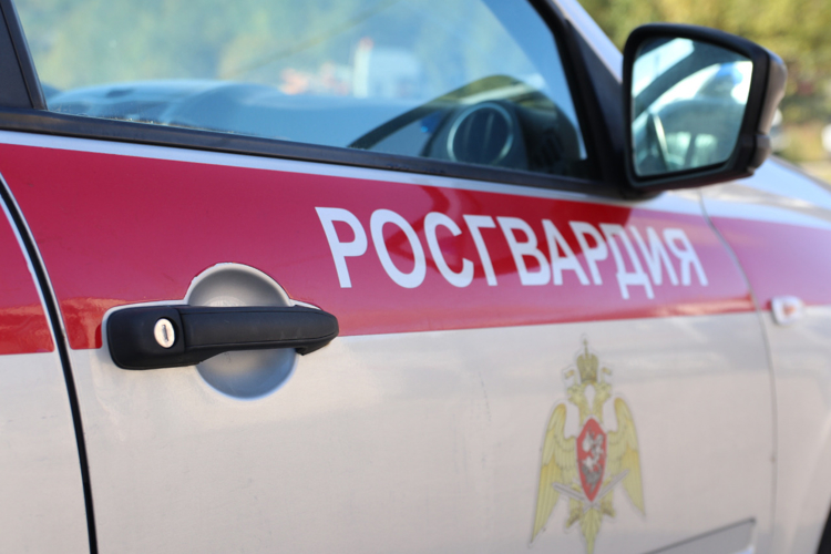СОТРУДНИКИ ВНЕВЕДОМСТВЕННОЙ ОХРАНЫ РОСГВАРДИИ ЗАДЕРЖАЛИ МОЛОДОГО ЧЕЛОВЕКА, СОВЕРШИВШЕГО ХИЩЕНИЕ ПРОДУКТОВ ПИТАНИЯ