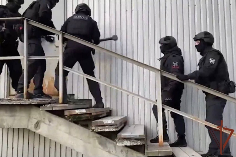 В Мурманской области при силовой поддержке Росгвардии задержаны организаторы незаконного игорного клуба