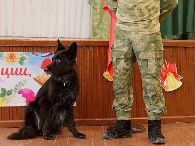 Военнослужащие Росгвардии провели профориентационную встречу со старшеклассниками 