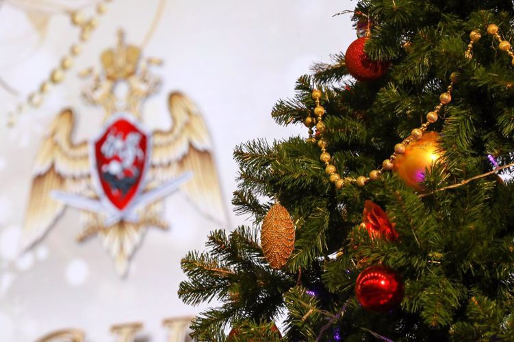 Инспекция пожарной безопасности Управления Росгвардии по Мурманской области напоминает  гражданам о правилах безопасности в период новогодних каникул