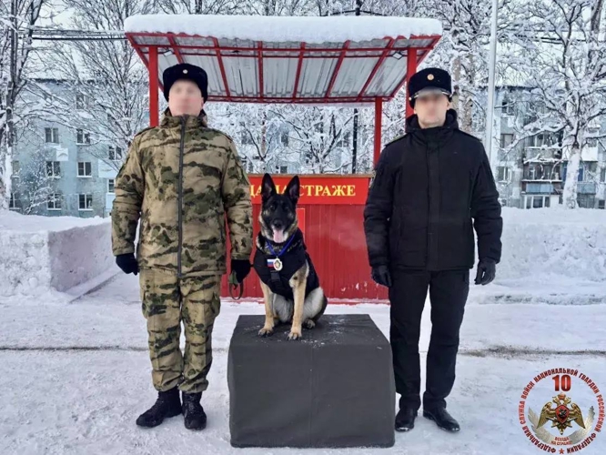 В Росгвардии четвероногого бойца наградили медалью за безупречную службу