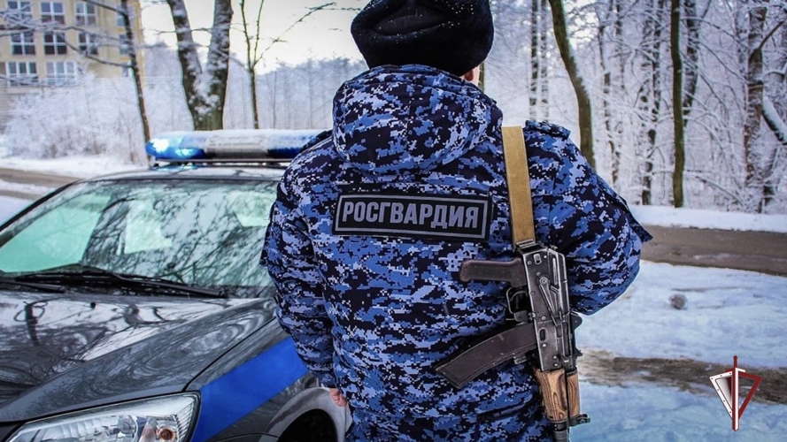 В Мурманске сотрудники Росгвардии задержали двух мужчин, устроивших дебош в караоке-баре