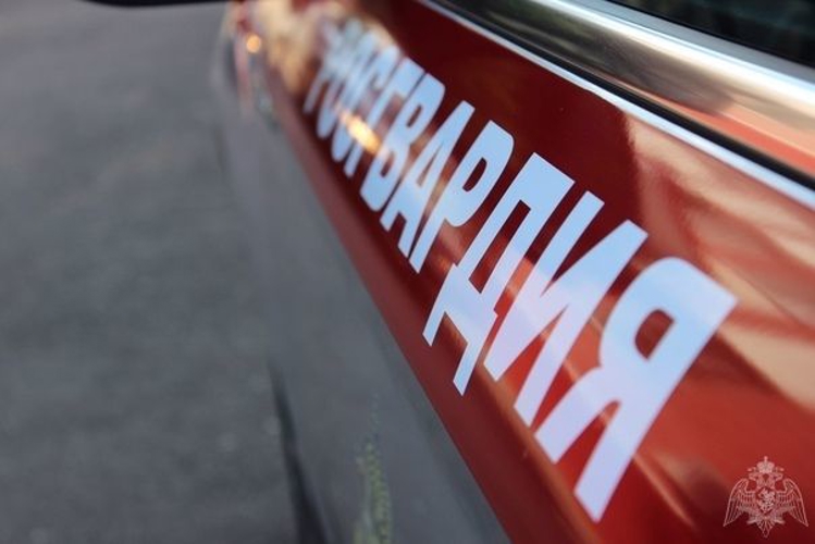 В Мурманском гипермаркете сотрудники Росгвардии задержалди женщину, совершившую хищение продовольственных товаров