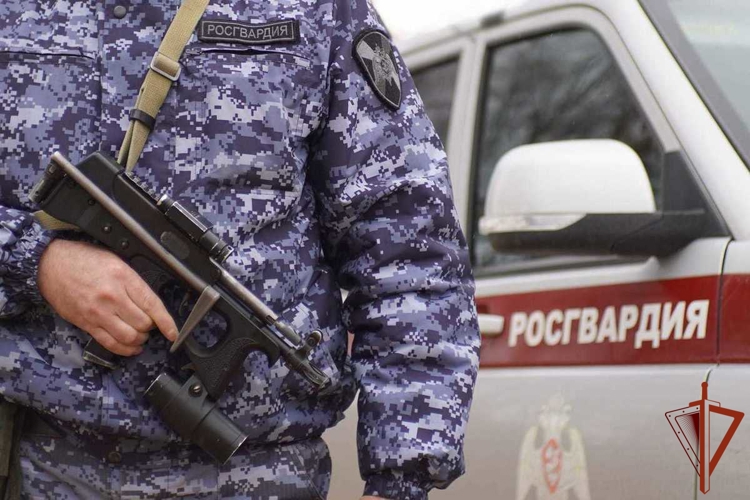 Сотрудники вневедомственной охраны Росгвардии пресекли хулиганство в медицинском учреждении Мурманска