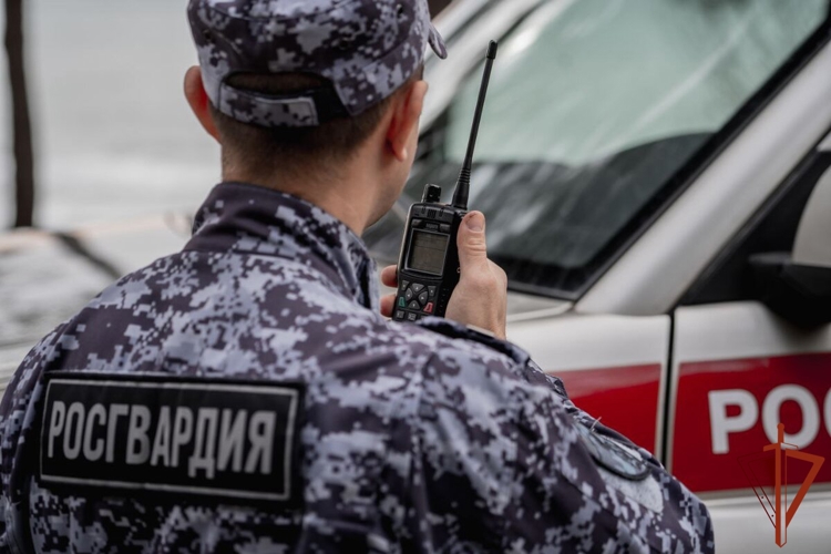 Росгвардейцы задержали двух мурманчан, подозреваемых в хищении алкоголя и продуктов из гипермаркета