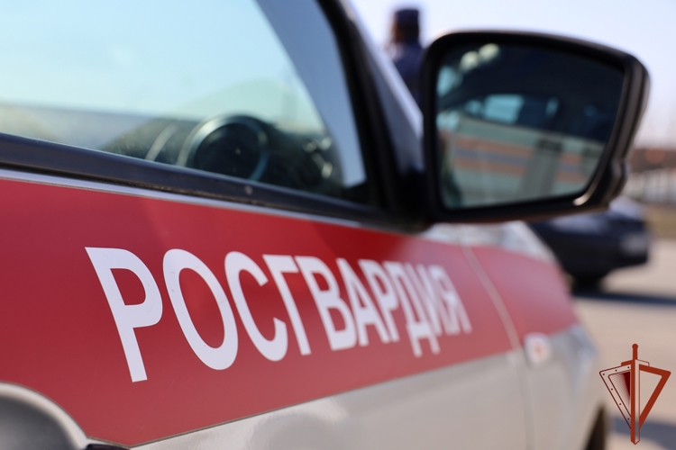 Сотрудники Росгвардии задержали мурманчанина при попытке хищения алкоголя на 6 тысяч рублей