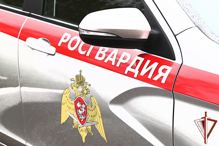 В Мурманске росгвардейцы задержали мужчину, нарушавшего общественный порядок на проспекте Ленина