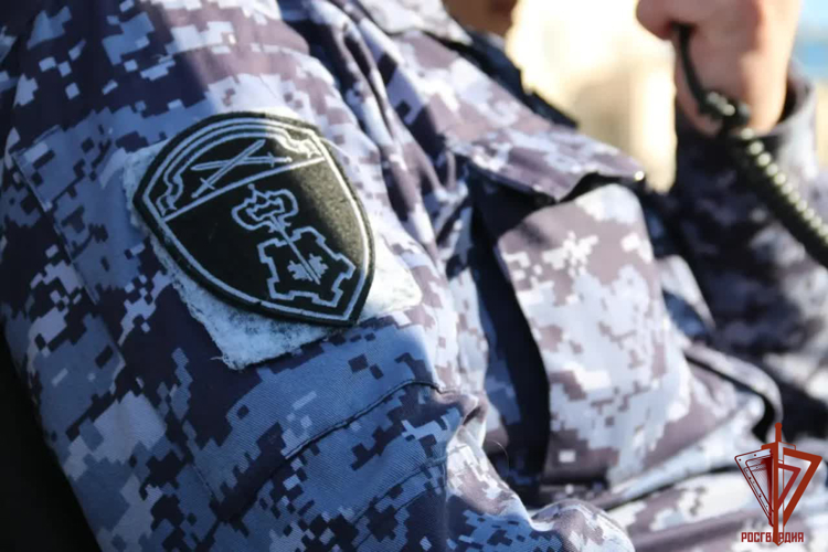В Мурманске росгвардейцы задержали дебошира, устроившего скандал в баре на улице Коминтерна