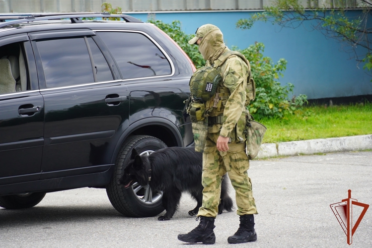 Кинологи морского отряда северо-западного округа Росгвардии познакомили ребят из детского оздоровительного лагеря со своими четвероногими товарищами