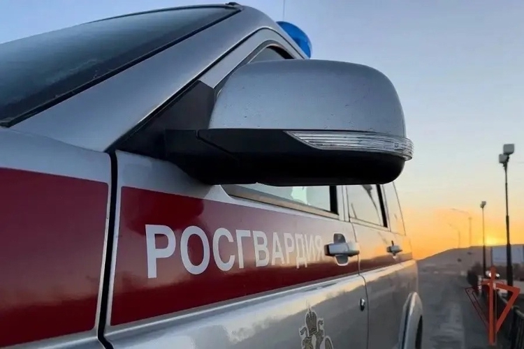         В Кандалакше сотрудники Росгвардии задержали мужчину, разбившего витрину в магазине-баре