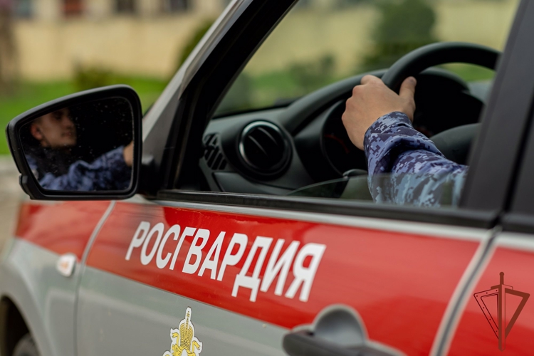 В Кандалакше росгвардейцы задержали дебошира, разбившего кассы самообслуживания в магазине
