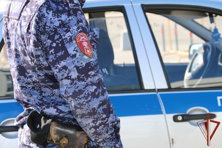 В Мончегорске сотрудники Росгвардии пресекли грубое нарушение правил дорожного движения