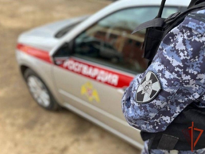В Мурманске росгвардейцы задержали находящегося в розыске жителя Оленегорска
